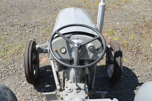 RESERVE LOWERED -1956 Ferguson TEF 20 Tractor For Sale (picture 20 of 51)