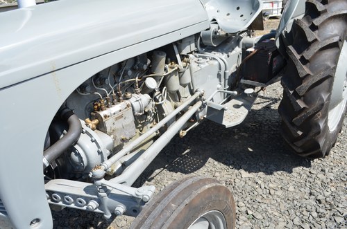 RESERVE LOWERED -1956 Ferguson TEF 20 Tractor For Sale (picture 29 of 51)