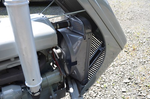 RESERVE LOWERED -1956 Ferguson TEF 20 Tractor For Sale (picture 42 of 51)