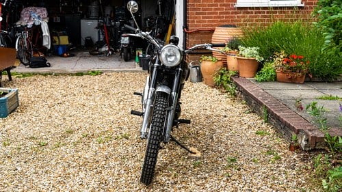 1955 Matchless G3LS Green Laner In vendita (immagine 4 di 49)