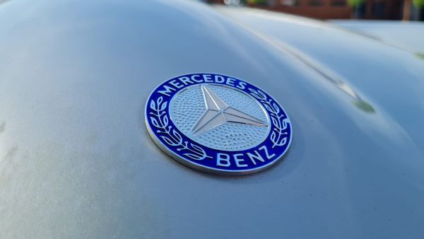 1955 Mercedes-Benz 190SL Roadster LHD For Sale (picture :index of 75)