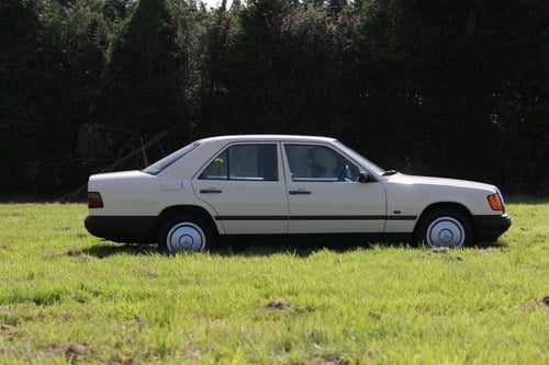 1988 Mercedes-Benz 200D In vendita (immagine 10 di 233)