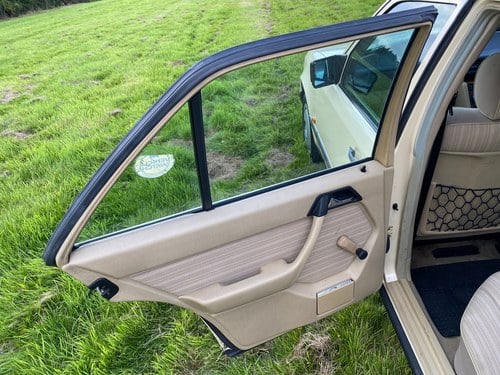 1988 Mercedes-Benz 200D In vendita (immagine 91 di 233)