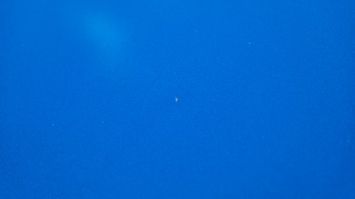 1993 Mercedes-Benz 220CE For Sale (picture 123 of 184)