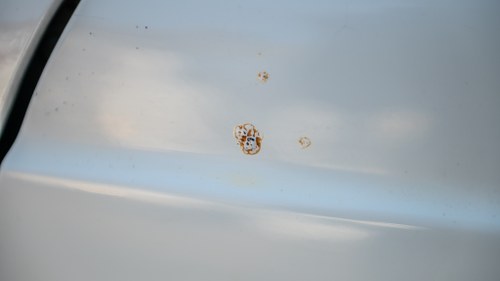 1984 Mercedes 230E For Sale (picture 138 of 199)