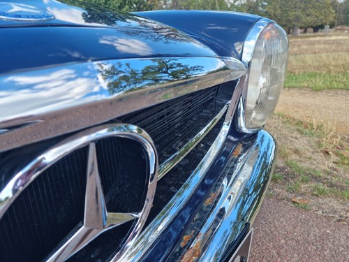 1964 Mercedes Benz 230SL Pagoda zum Verkauf (Bild 49 von 83)