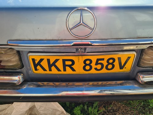 1979 Mercedes-Benz 280 SE W116 LHD zum Verkauf (Bild 69 von 78)