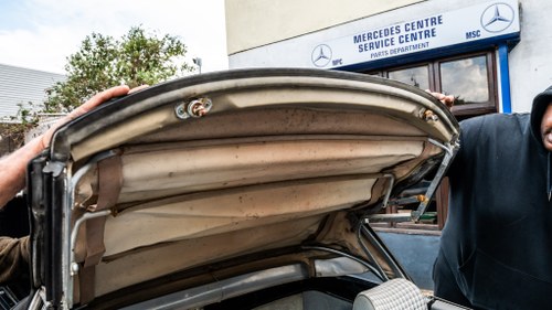 1981 Mercedes-Benz 280 SL - 13160960089 For Sale (picture 154 of 203)