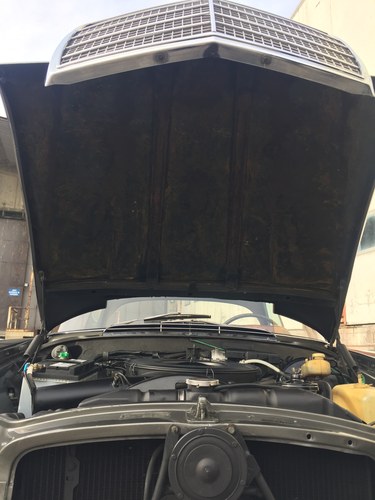 1970 Mercedes-Benz 280 SE 3.5 ‘Flachkühler’ (W111) For Sale (picture 90 of 149)