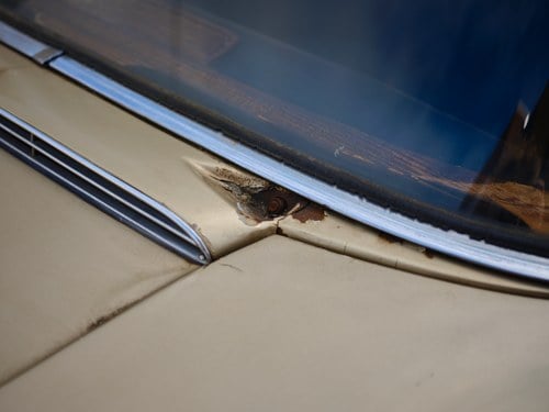 1969 Mercedes-Benz 280SE Automatic zum Verkauf (Bild 127 von 165)