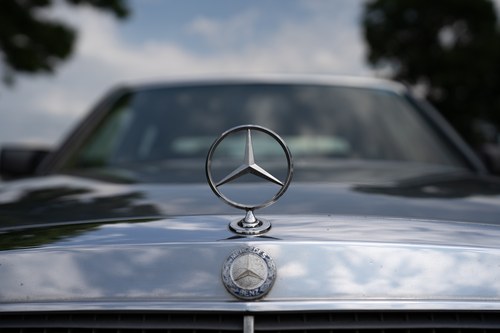 NO RESERVE - 1992 Mercedes-Benz 300 SE Auto (W140) In vendita (immagine 82 di 167)