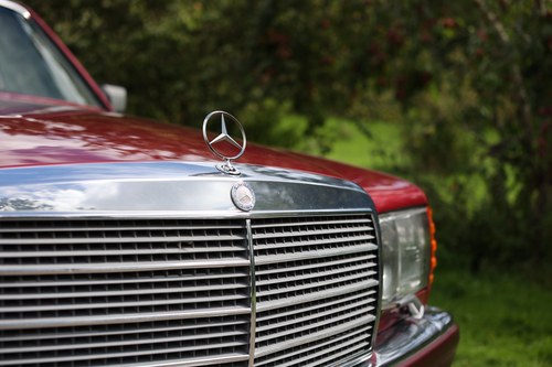 1991 Mercedes-Benz 300SE Auto In vendita (immagine 162 di 245)