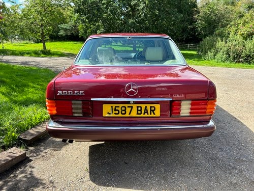 1991 Mercedes-Benz 300SE Auto In vendita (immagine 25 di 245)