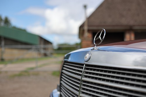 1991 Mercedes-Benz 300SE Auto In vendita (immagine 163 di 245)