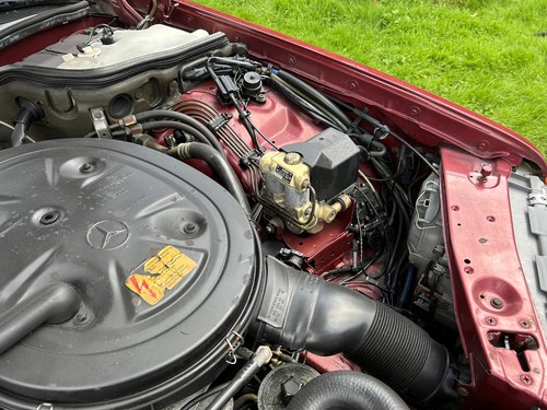 1991 Mercedes-Benz 300SE Auto In vendita (immagine 191 di 245)