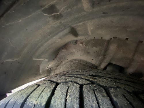 1987 Mercedes-Benz 300SL (R107) For Sale (picture 153 of 191)