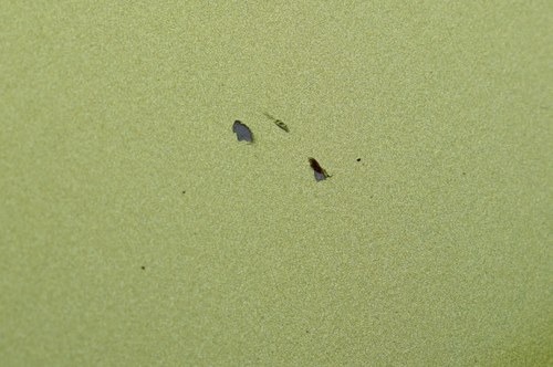 2001 Mercedes-Benz SLK 320 In vendita (immagine 81 di 138)