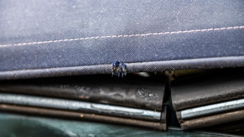 1993 Mercedes-Benz 320ce Cabriolet à vendre (picture 142 of 244)