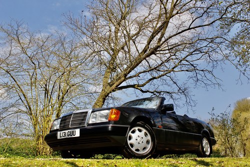 NO RESERVE! 1993 Mercedes-Benz 320CE Convertible En venta (imagen 50 de 155)