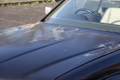 NO RESERVE - 1986 Mercedes-Benz 500 SEC In vendita (immagine 69 di 118)