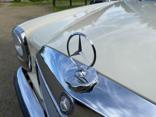 1970 Mercedes-Benz 250 (W114) En venta (imagen 34 de 64)