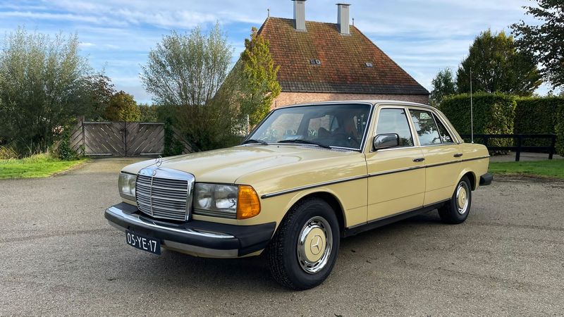 1977 Mercedes-Benz 300 D (W123) For Sale (picture 1 of 79)