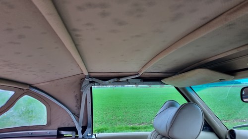 1979 Mercedes-Benz 450SL (R107) zum Verkauf (Bild 84 von 137)