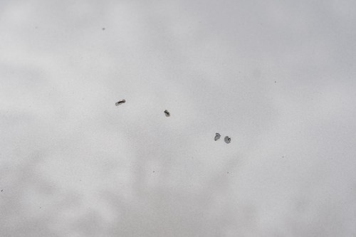 NO RESERVE - 1990 Mercedes-Benz 300 E (W124) En venta (imagen 145 de 200)