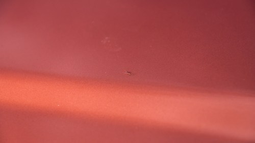 1998 Mercedes-Benz SL320 R129 In vendita (immagine 131 di 179)