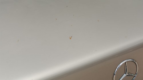 NO RESERVE - 1991 Mercedes-Benz 300E à vendre (picture 26 of 99)