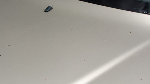 NO RESERVE - 1991 Mercedes-Benz 300E à vendre (picture 40 of 99)