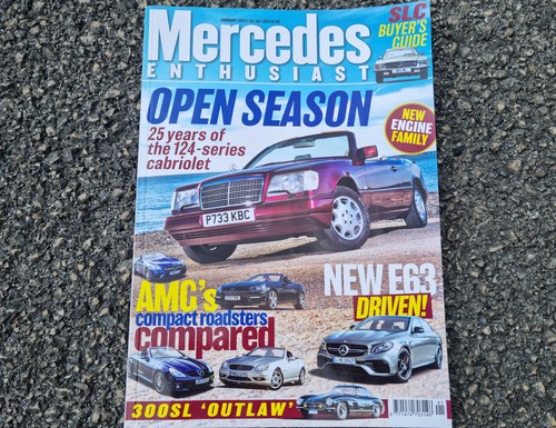 1996 Mercedes-Benz E220 Cabriolet Auto à venda (imagem 150 de 153)