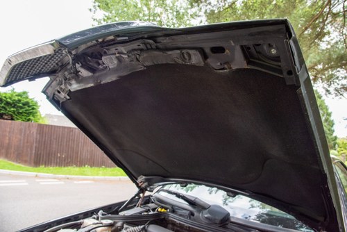 1996 Mercedes-Benz E320 Coupe Sportline Auto (W124) à vendre (picture 186 of 229)