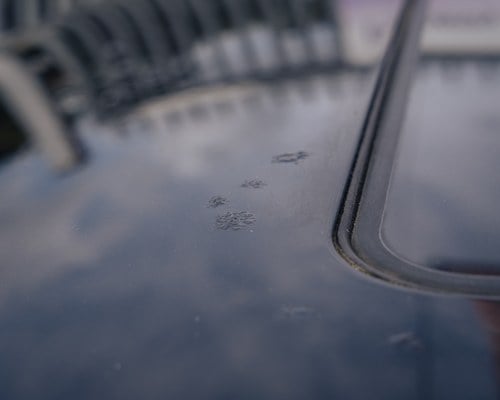 2001 Mercedes-Benz S55 AMG SWB (W220) Te koop (foto 86 van 101)