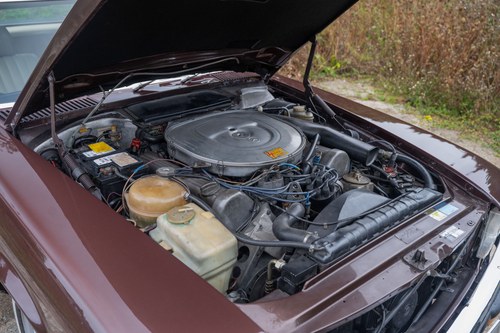 1981 Mercedes-Benz R107 500SL LHD En venta (imagen 127 de 148)