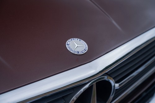 1981 Mercedes-Benz R107 500SL LHD En venta (imagen 106 de 148)