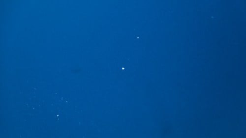 2002 Mercedes-Benz SL 55 AMG zum Verkauf (Bild 126 von 190)