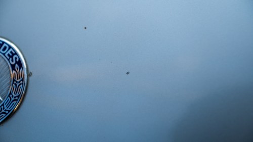 NO RESERVE - 1999 Mercedes-Benz SLK 230 For Sale (picture 85 of 176)