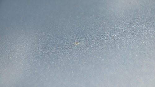 2002 Mercedes-Benz SLK32 AMG In vendita (immagine 68 di 163)