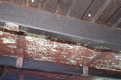 1964 La Tortue Mallorca Grand Luxe M3 Caravan In vendita (immagine 212 di 221)