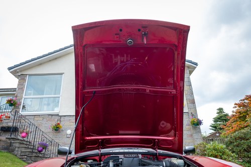 1994 MG RV8 En venta (imagen 190 de 247)