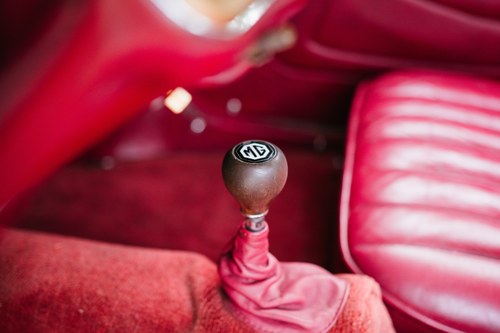 1954 MG TF à vendre (picture 60 of 161)