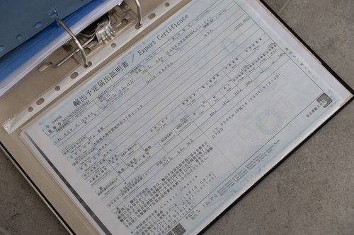 1995 MG RV8 En venta (imagen 148 de 148)