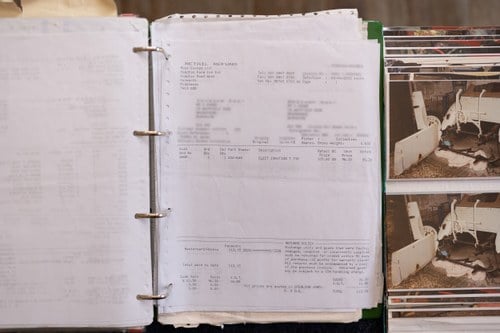 1951 MG TD For Sale (picture 190 of 222)