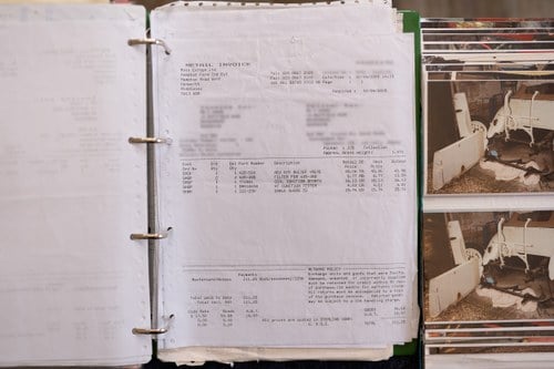 1951 MG TD For Sale (picture 191 of 222)