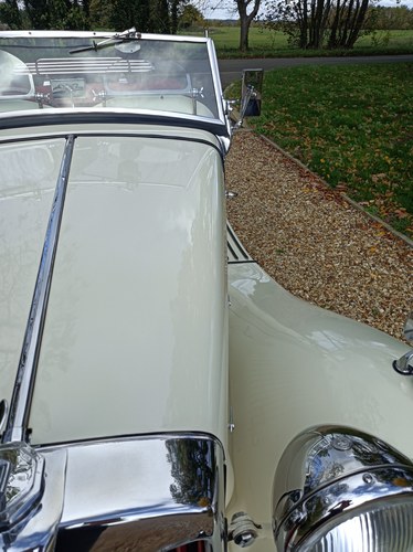 1952 MG TD Midget à vendre (picture 67 of 102)