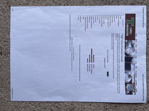 1954 MG TF à vendre (picture 190 of 202)