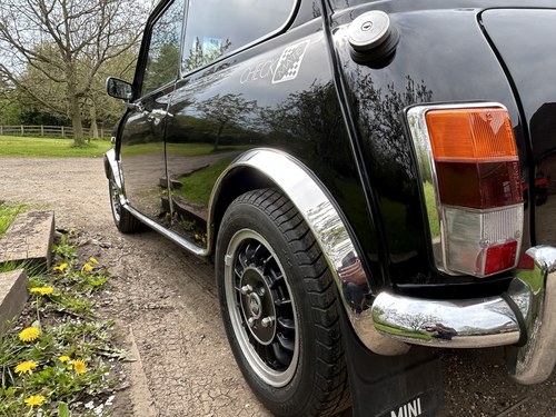 1990 Rover Mini Checkmate For Sale (picture 135 of 269)