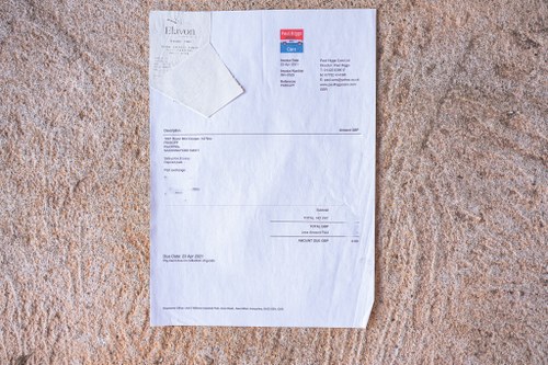 1997 Mini Cooper à vendre (picture 183 of 192)