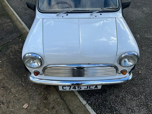 1985 Austin Mini Limousine For Sale (picture 122 of 186)